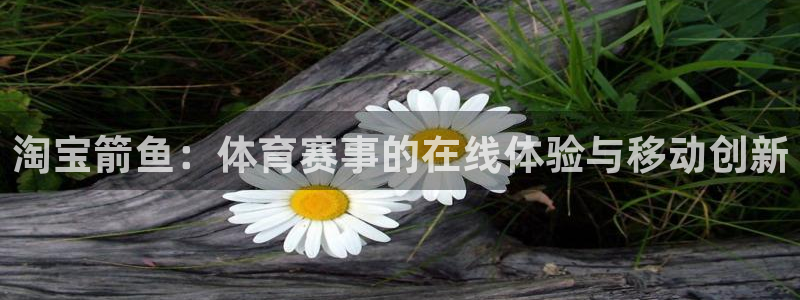 3377体育平台