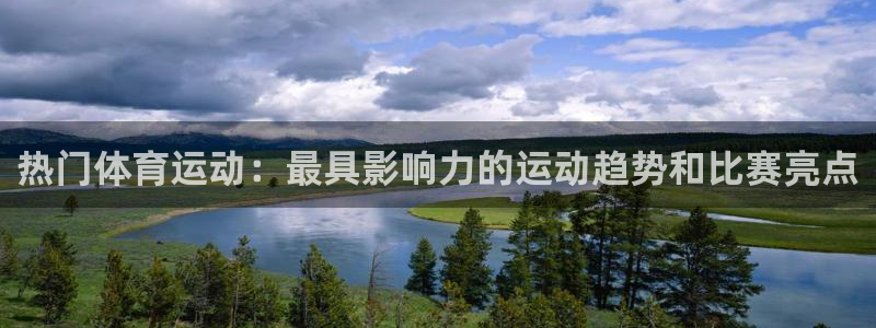 3377体育官网入口网页版