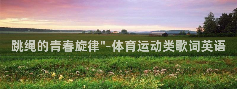 3377体育平台