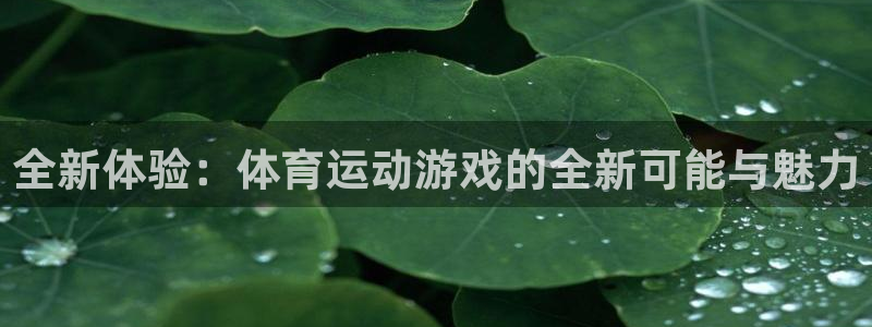 3377体育在线登录官网入口
