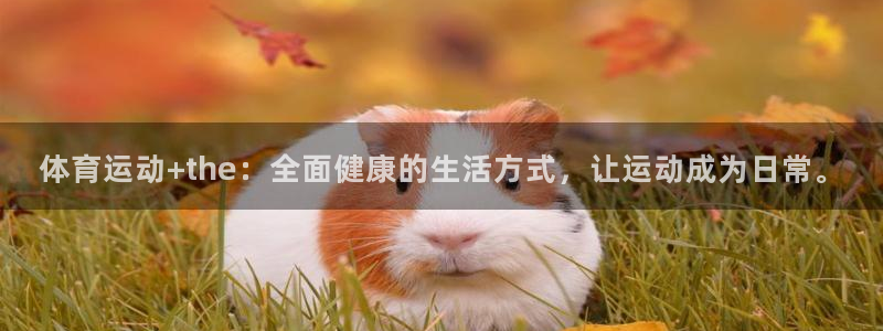3377体育app登录入口