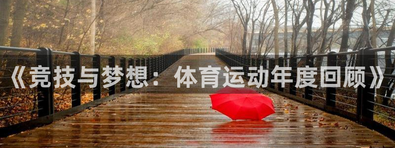 3377体育全网
