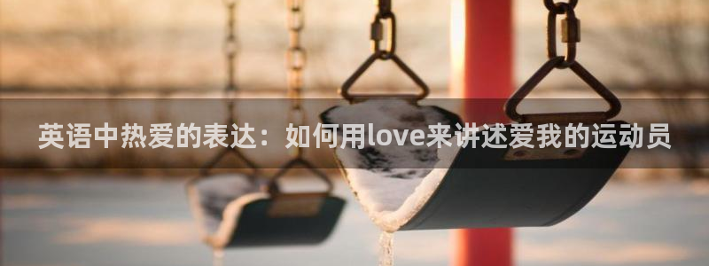 3377体育全网