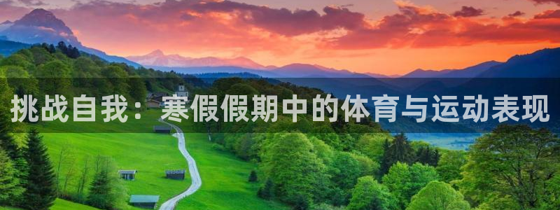 3377体育官网