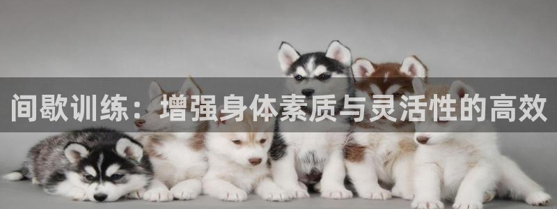 3377体育app官方下载