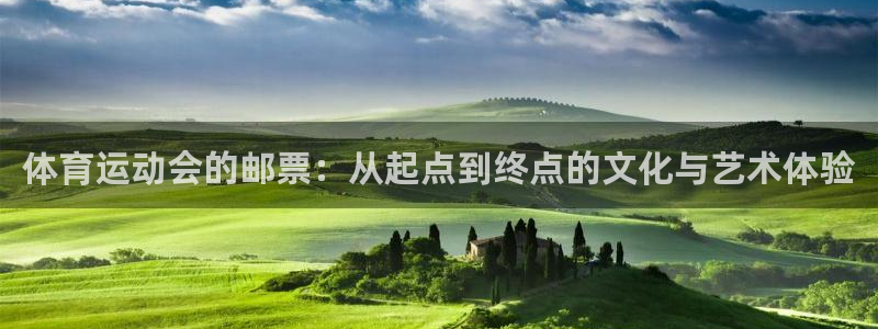3377体育官网