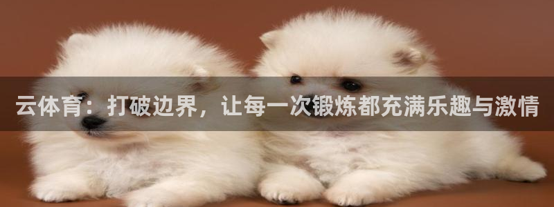 3377体育是正规的吗