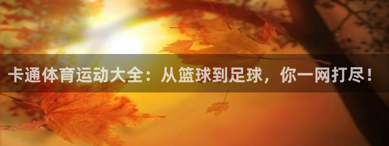 3377体育官网