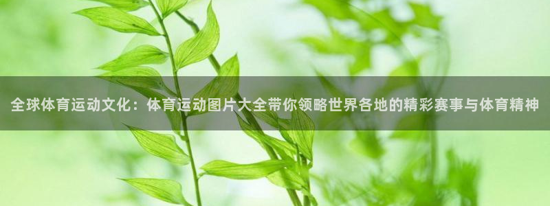 3377体育app官网下载地址