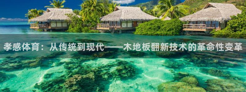 3377体育网页登录入口
