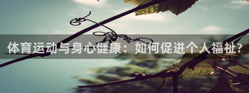 3377体育app登录入口