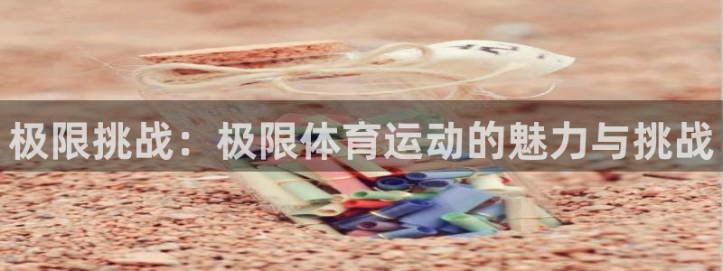 3377体育官网入口网页版