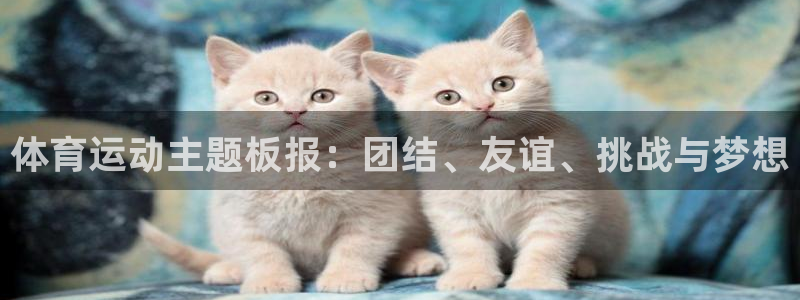 3377体育app官网下载地址