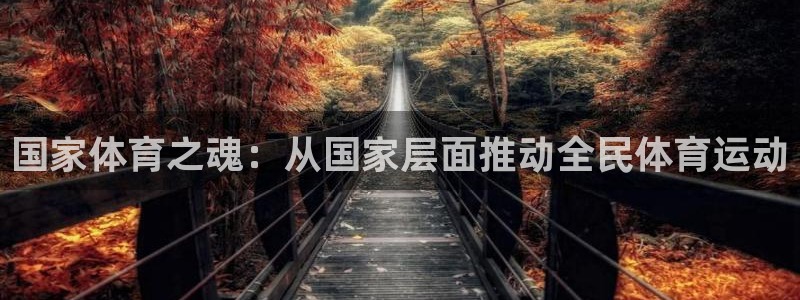 3377体育app下载安装